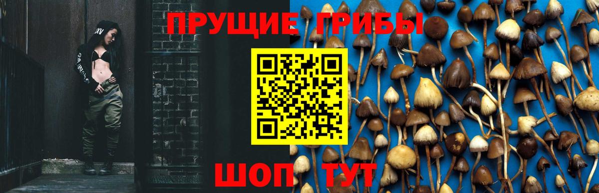 Галлюциногенные грибы Cubensis  Вход с VPN  Псилоцибиновые грибы GOLDEN TEACHER  Вязьма 
